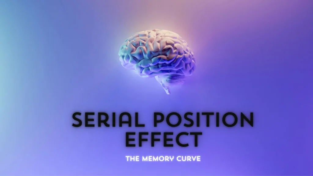 Serial Position Effect