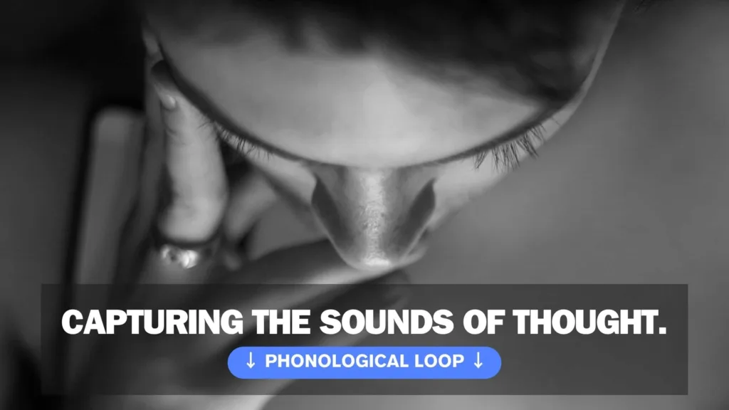 Phonological Loop