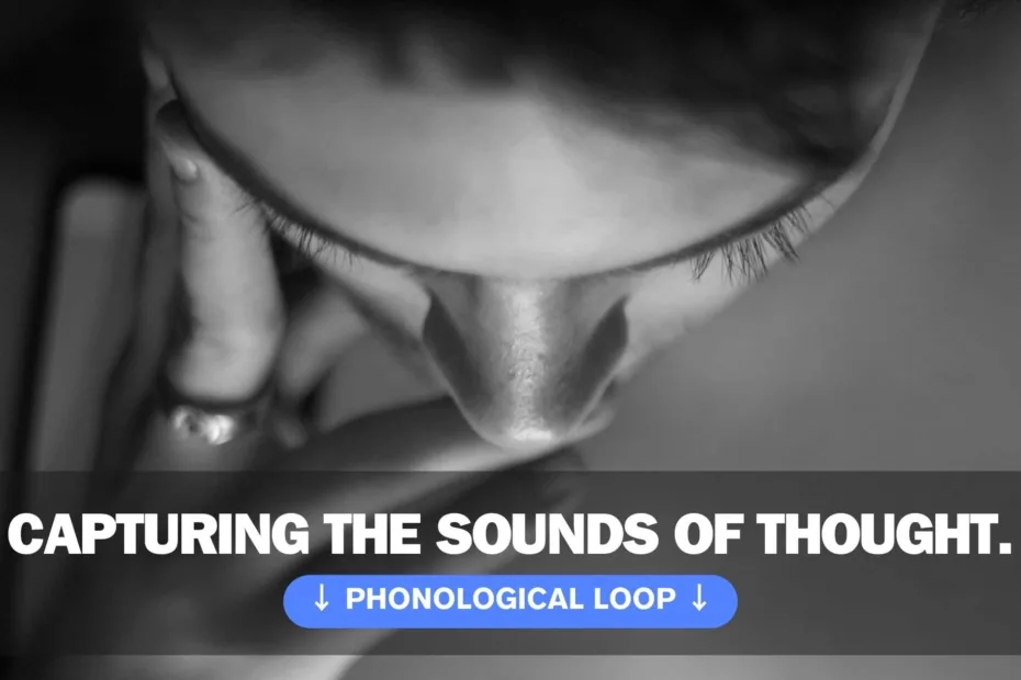 Phonological Loop