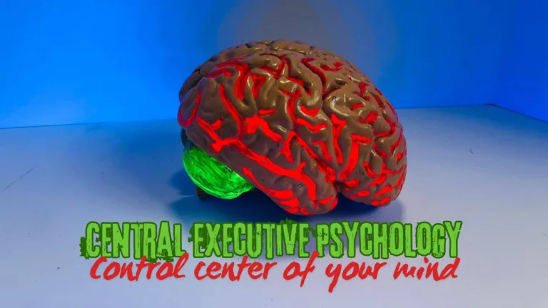 Central Executive Psychology