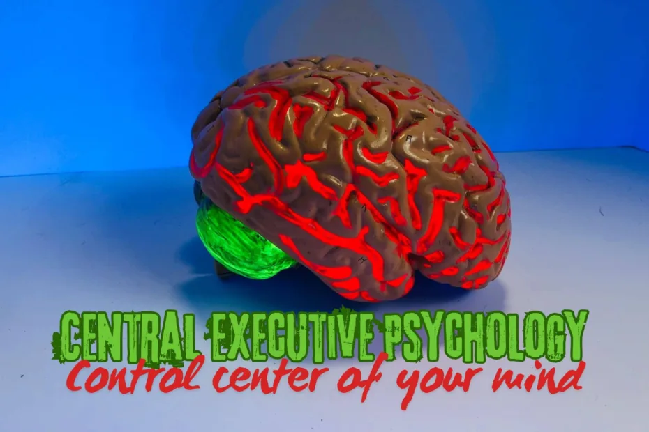 Central Executive Psychology