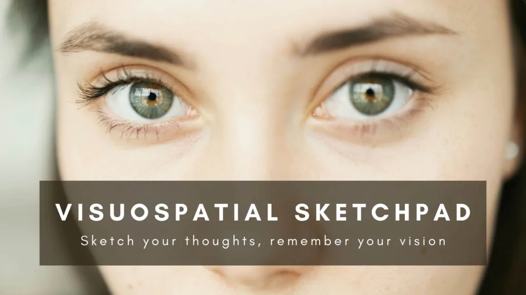 Visuospatial Sketchpad: Where images become memories