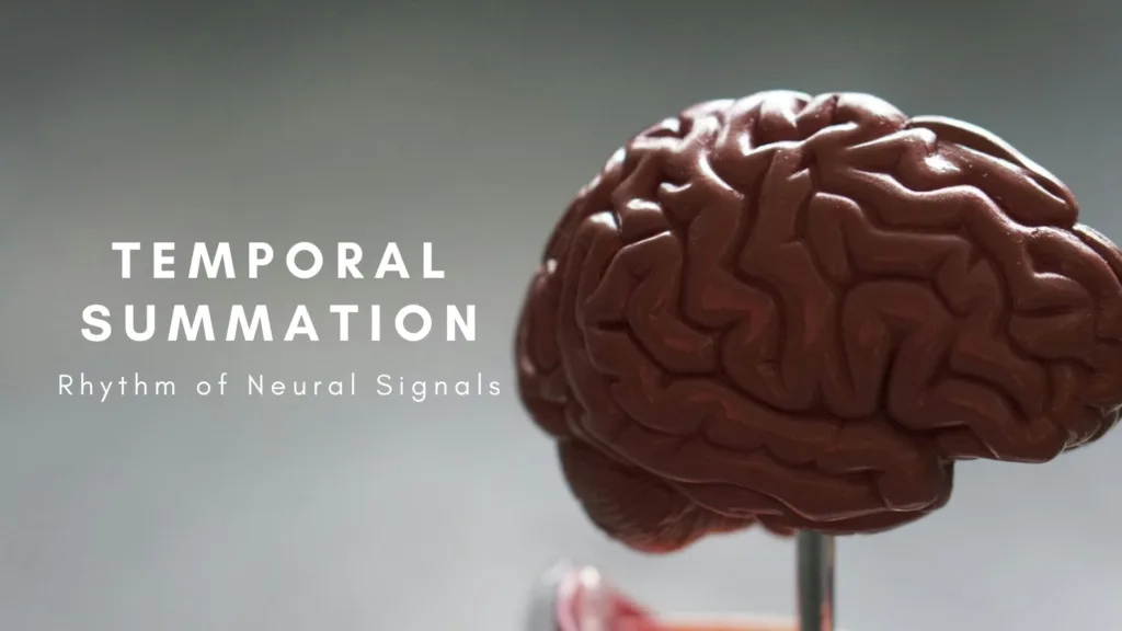 Temporal Summation